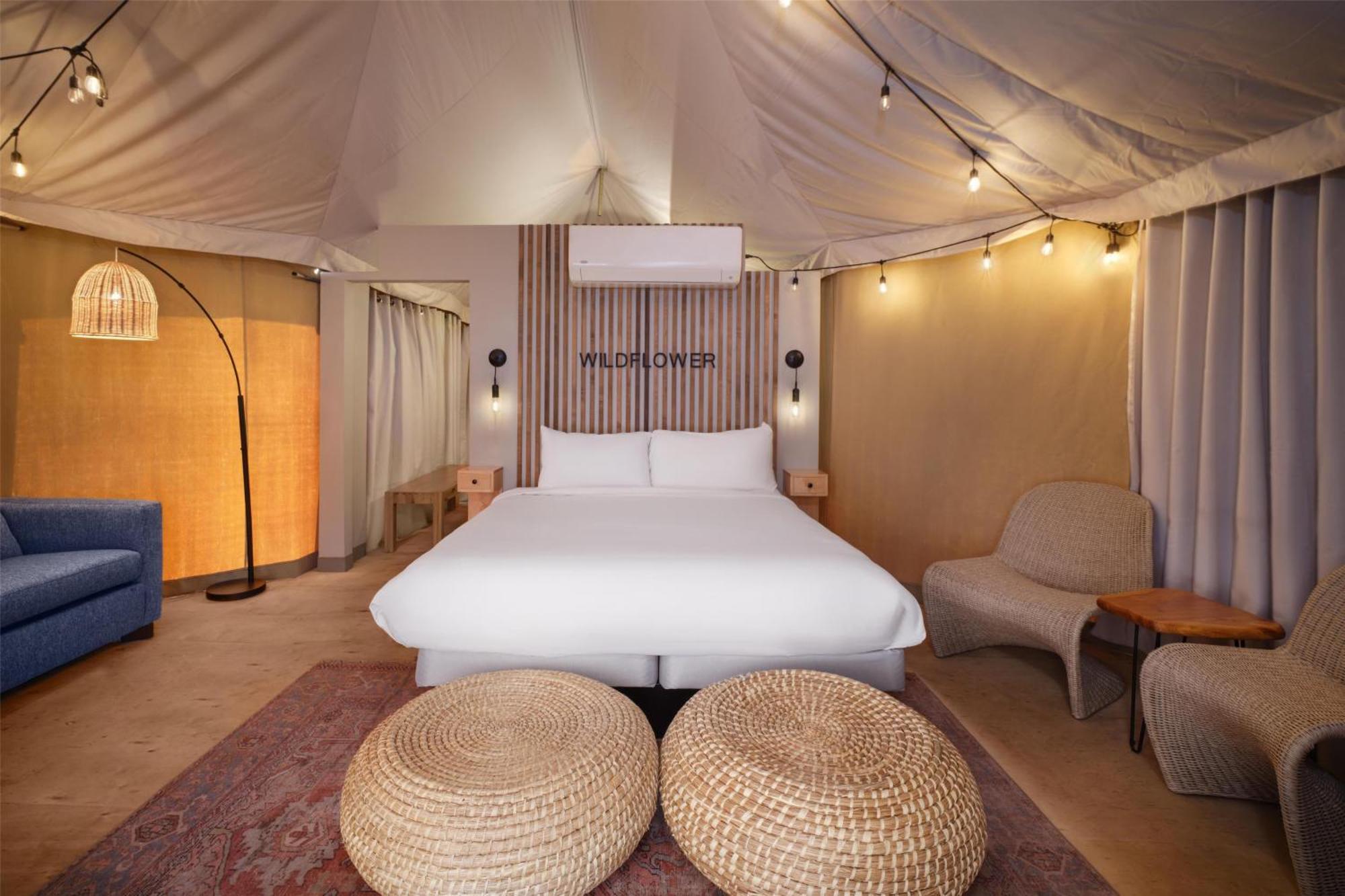 Zion Wildflower 3*