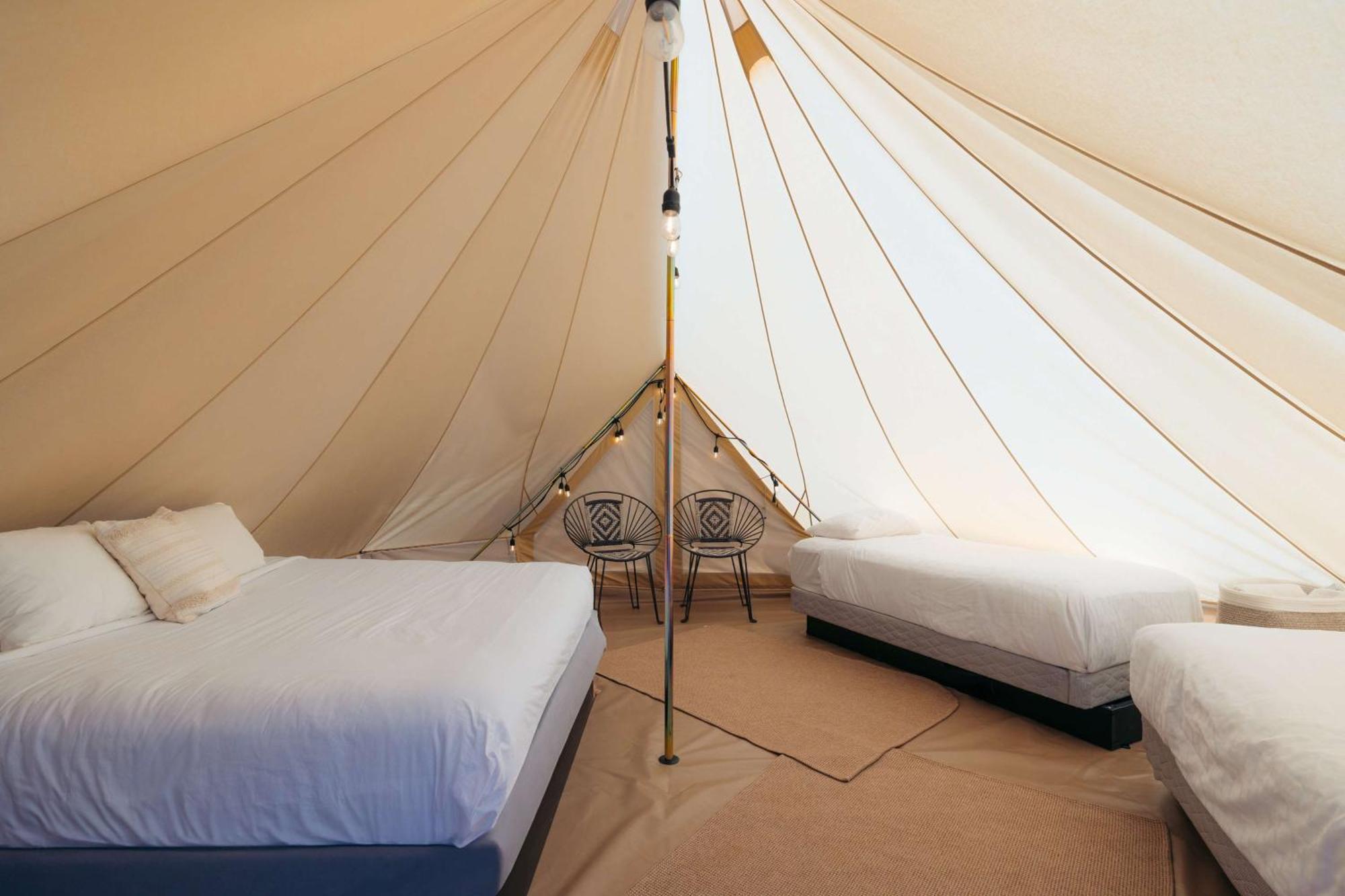 Luxury tent Zion Wildflower 3*