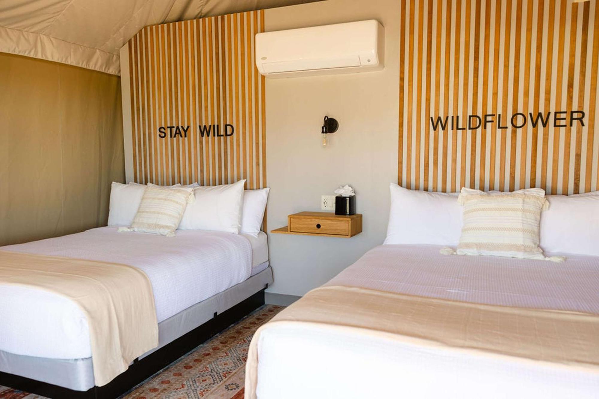 Zion Wildflower Luxury tent 3*