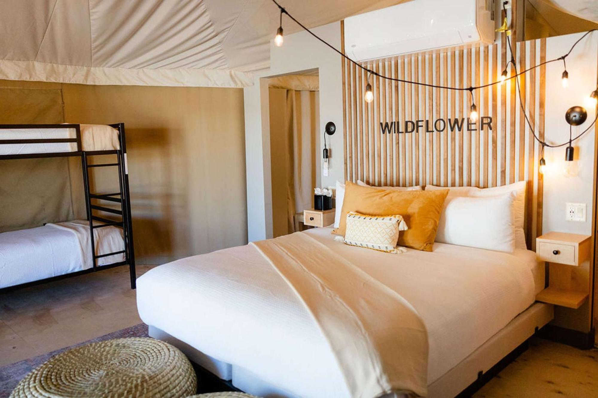 Luxury tent Zion Wildflower Virgin