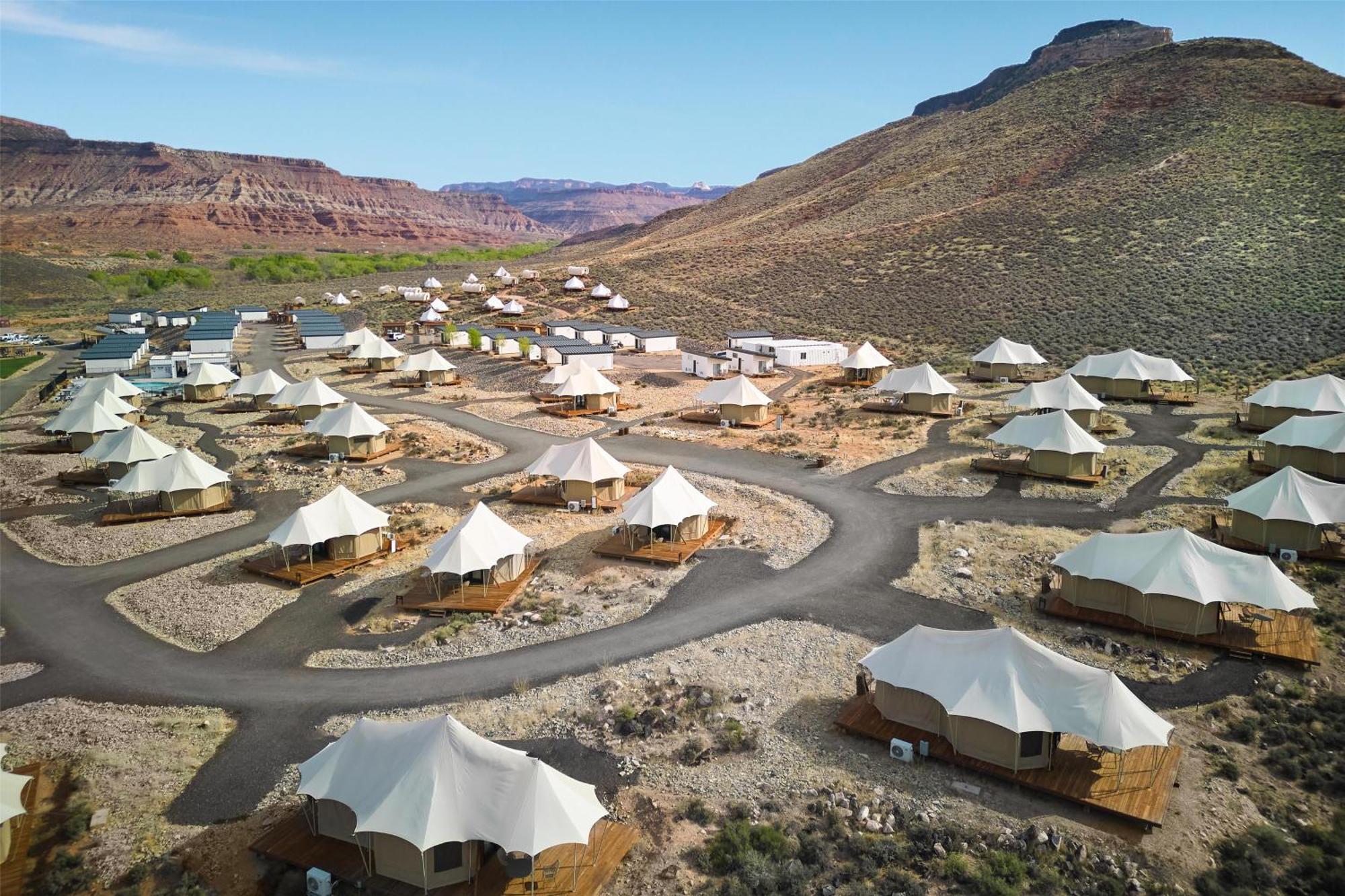 Zion Wildflower 3*